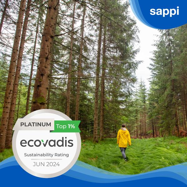 Sappi EcoVadis